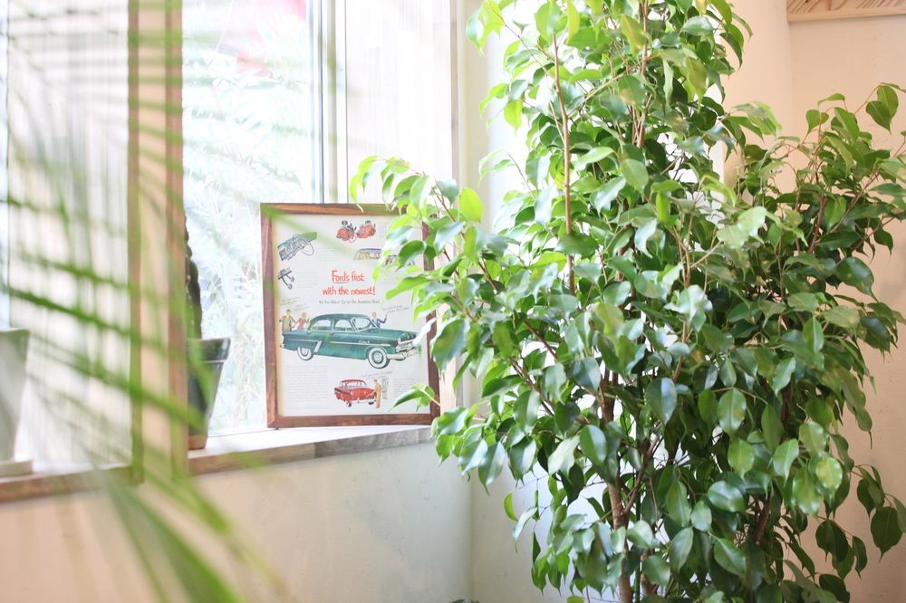 North Front Hostel Фукучияма Екстериор снимка